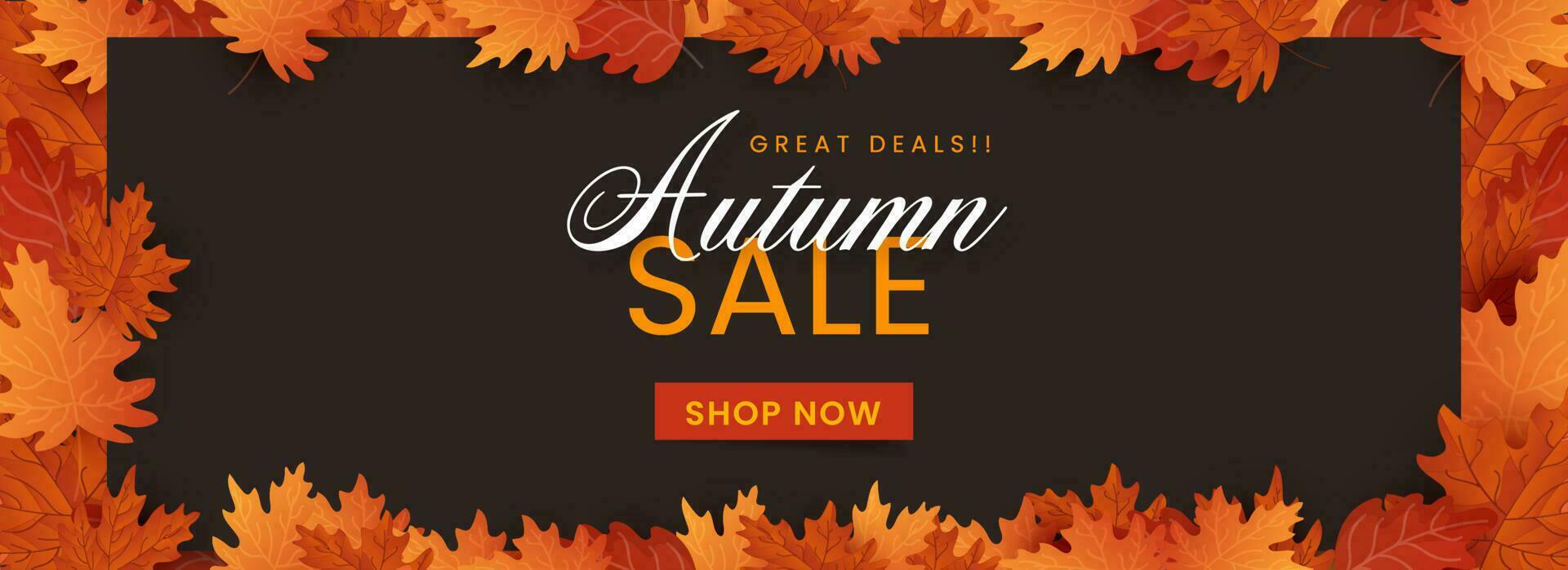 Autumn Sale Banner Or Header Design With Maple Leaves Decorated On Brown Background. vector