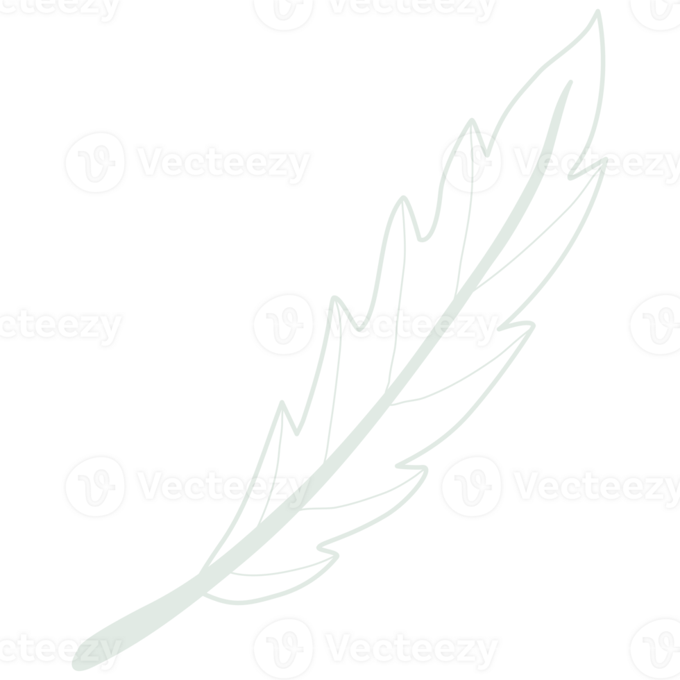 Line art leaf png