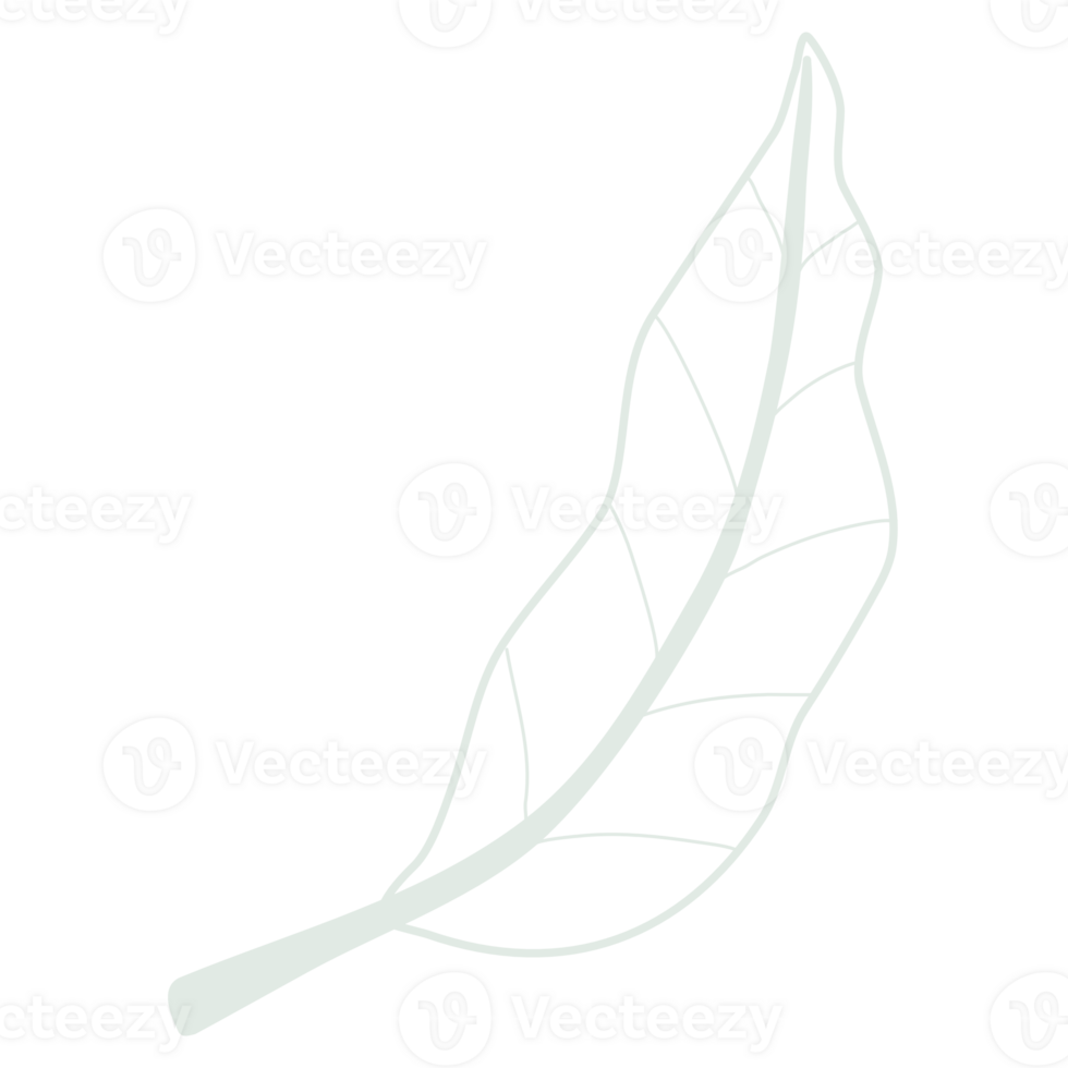 Line art leaf png