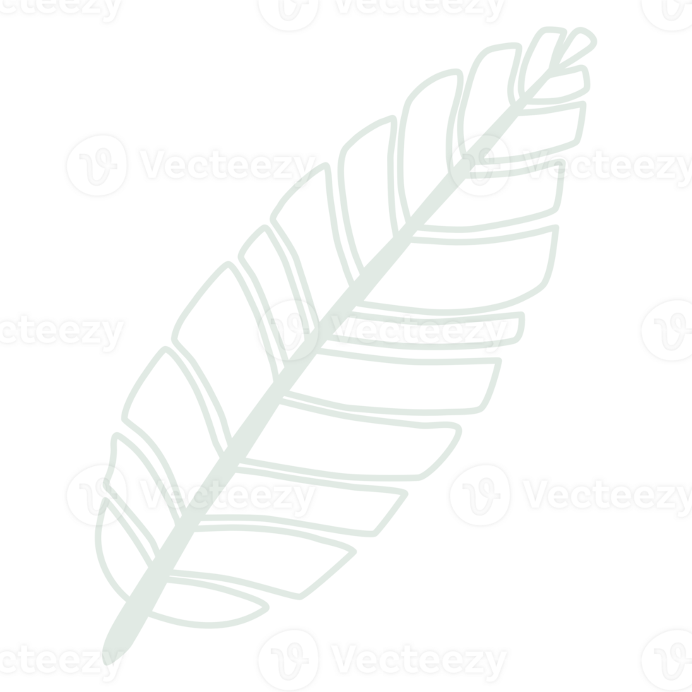 Line art leaf png