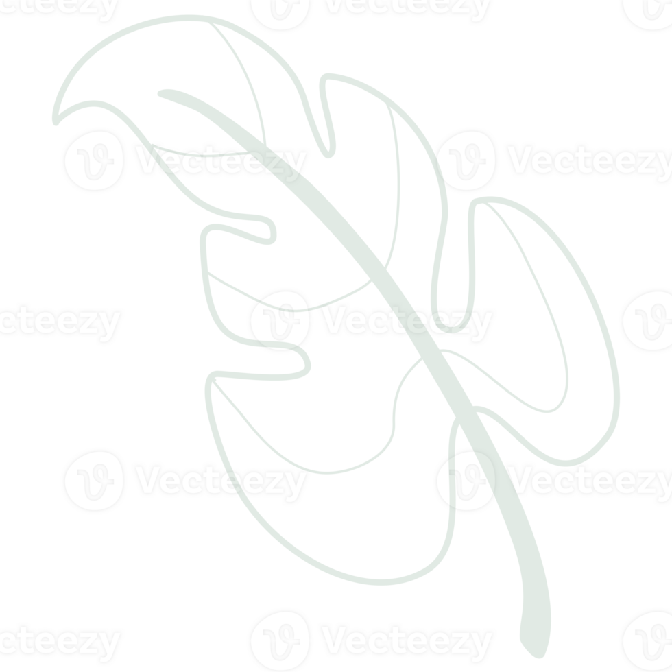 Line art leaf png