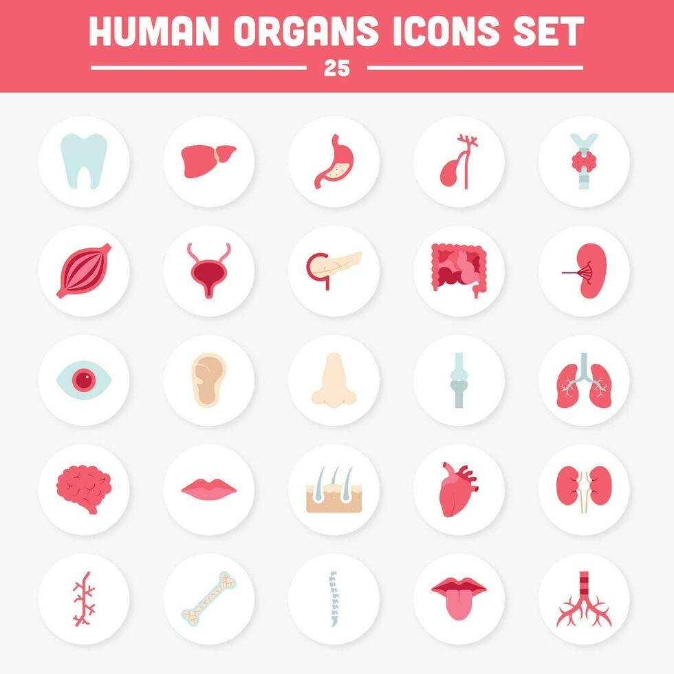 plano estilo humano órganos circular icono colocar. vector