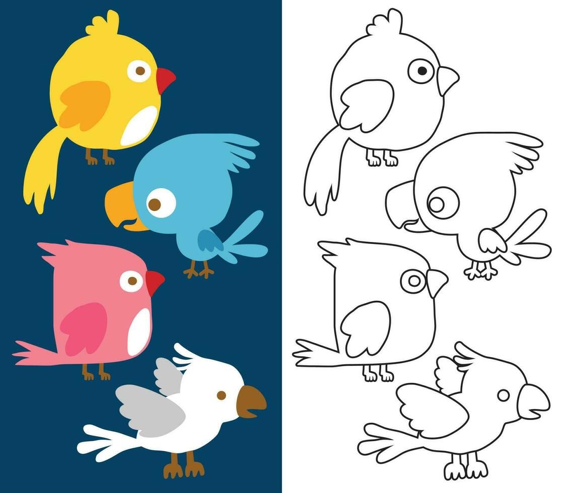 Vector cartoon of funny birds, coloring book or page for kids