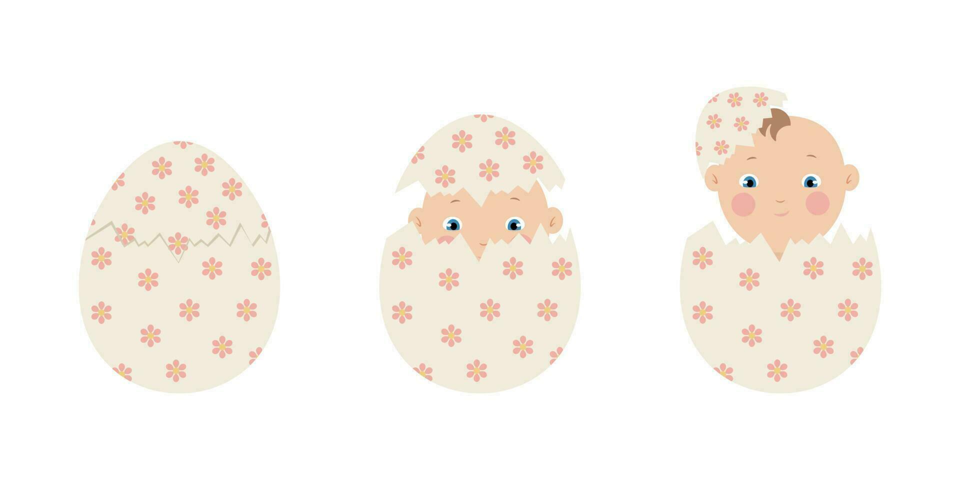 Human baby hatching from egg, embryo development evolution, vector illustration