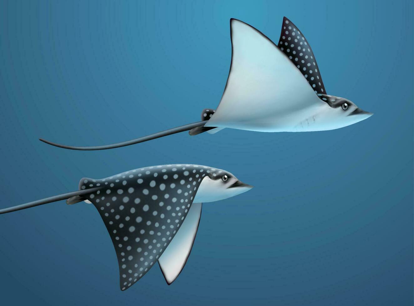 Realistic stingrays flapping their sides under deep water, 3d illustration vector