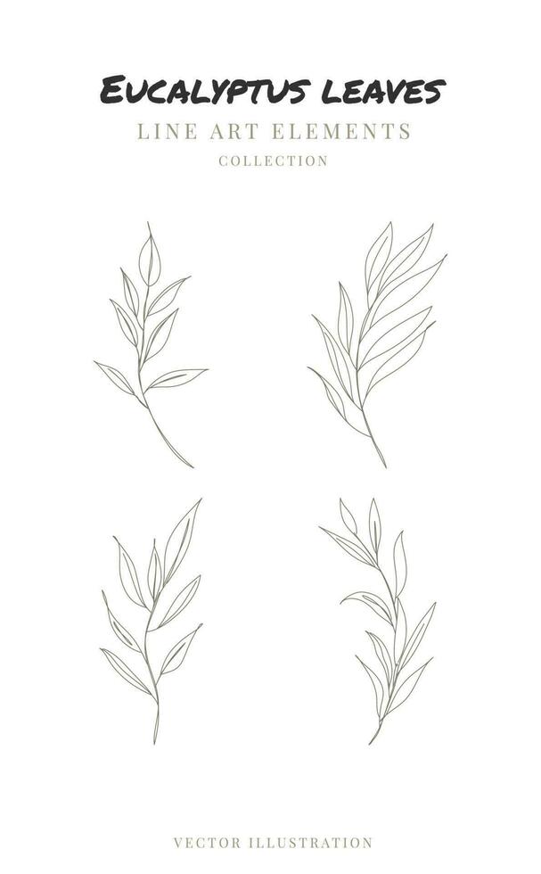 One line drawing of eucalyptus leaves. Hand drawn floral elements line art. Vector illustration