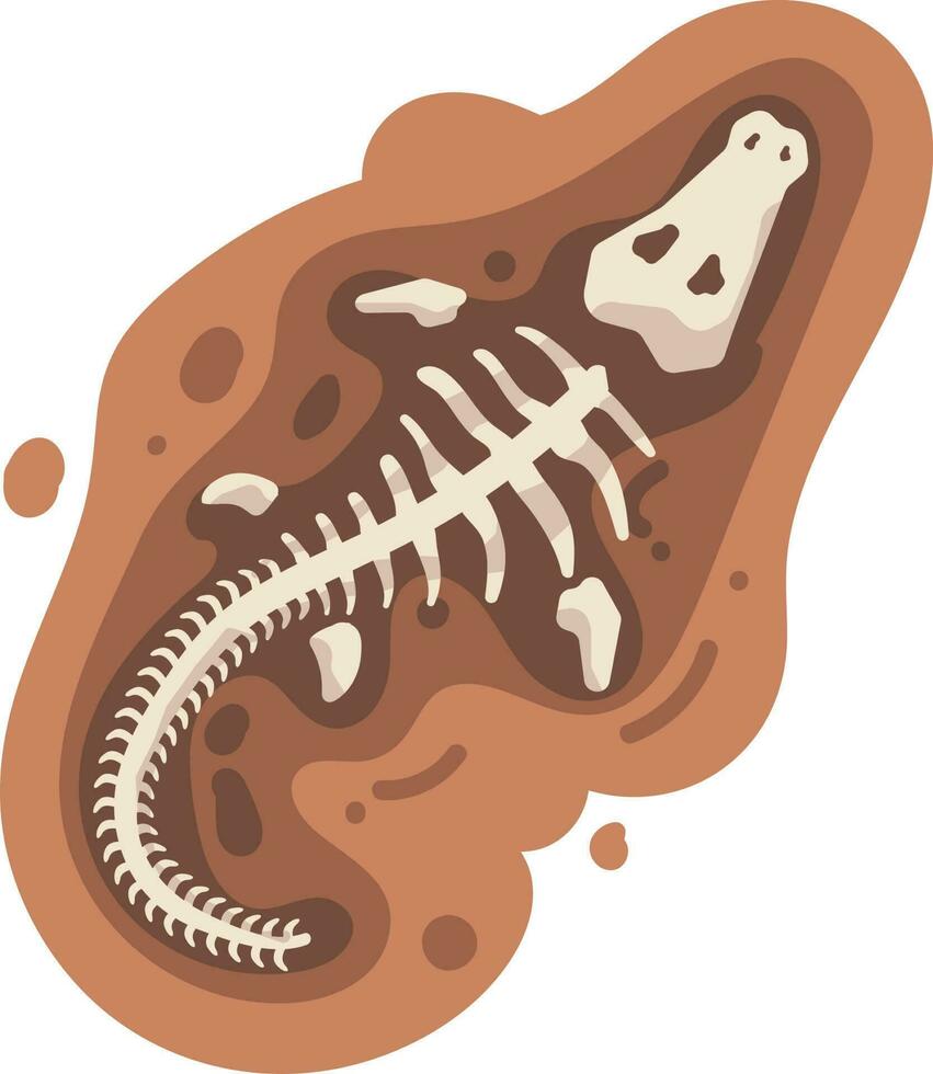 Vector illustration of a animal skeleton in a section of the body.