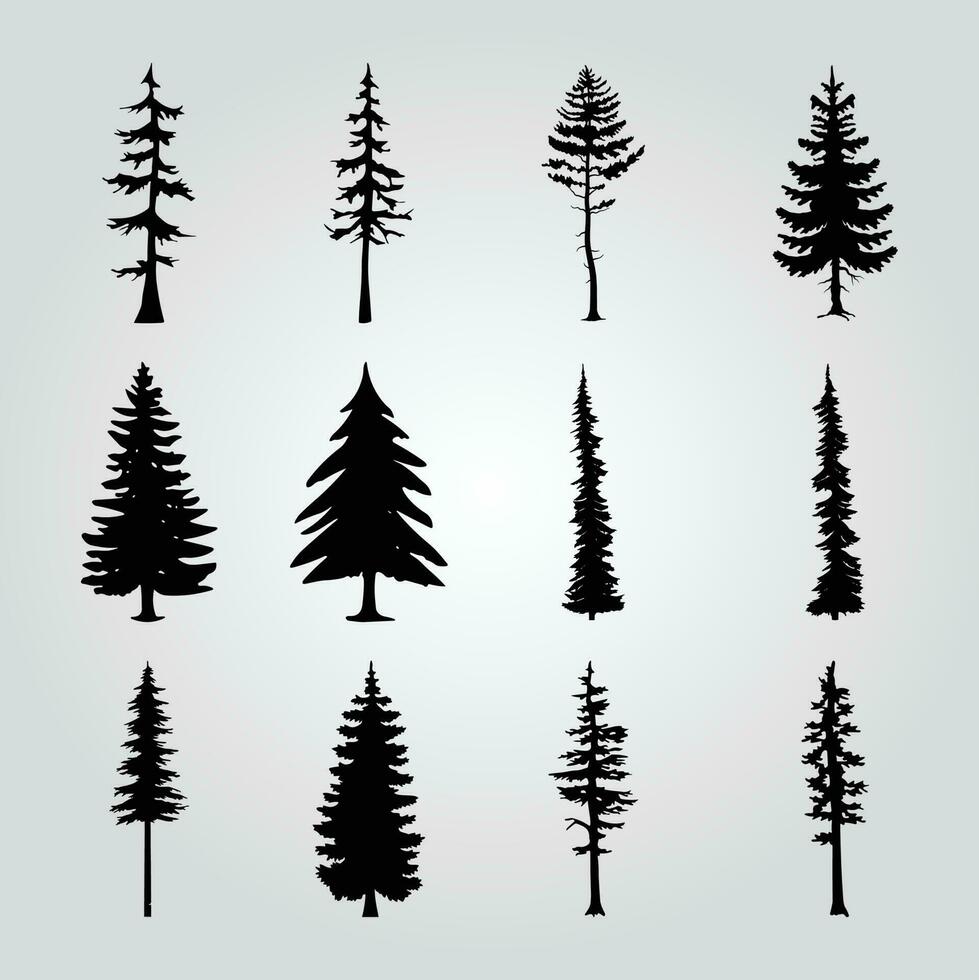 A collection of pine trees with different shapes and sizes. vector