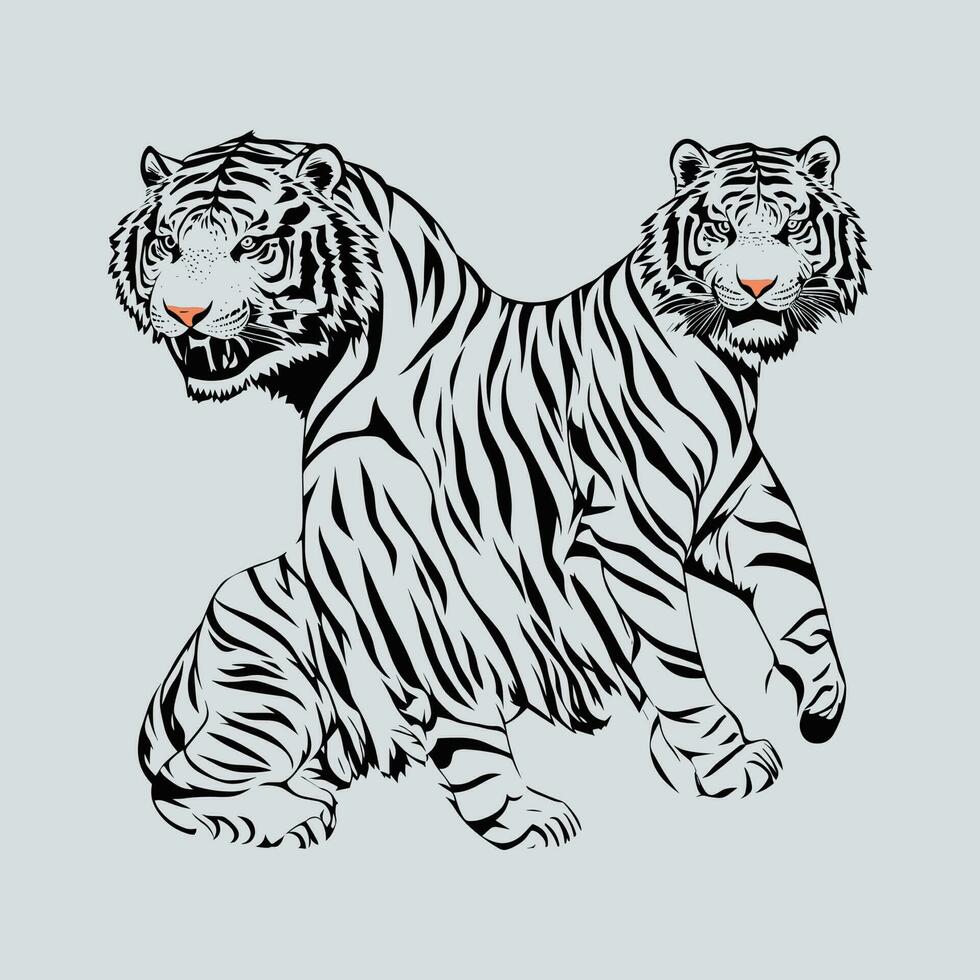 A drawing of two Siberian tigers. vector