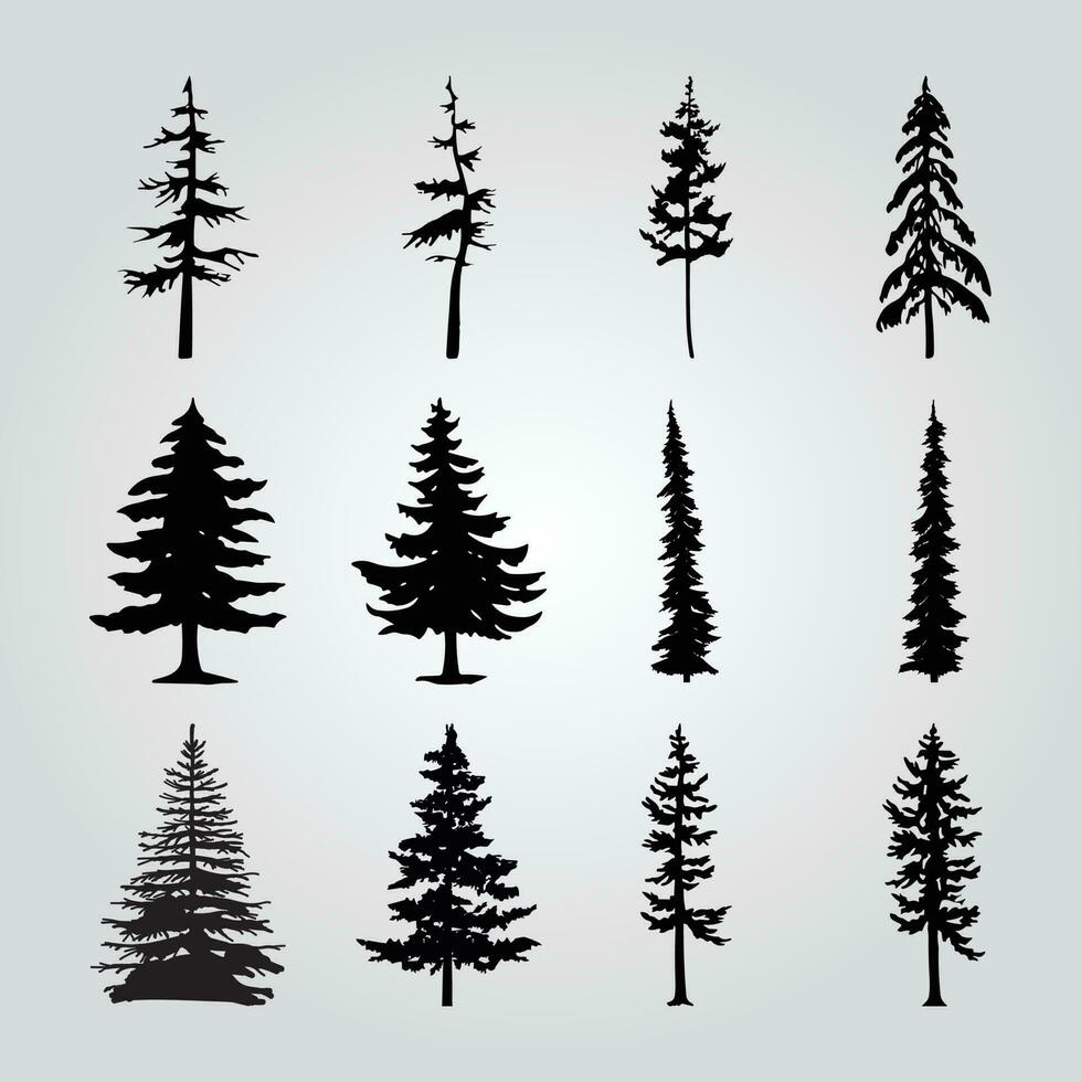 A collection of pine trees with different shapes and sizes. vector
