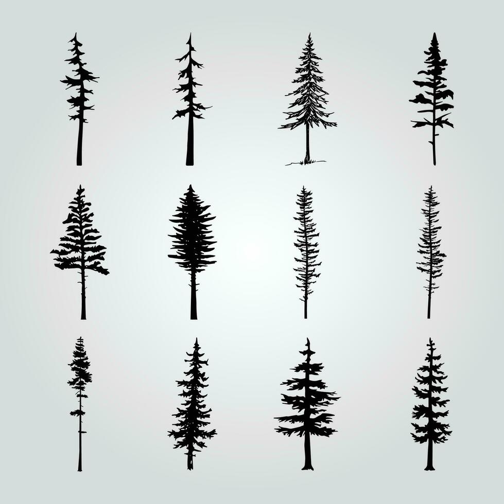 A collection of pine trees with different shapes and sizes. vector