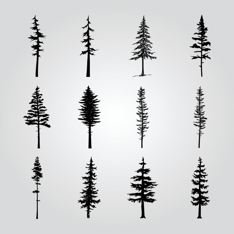 A collection of pine trees with different shapes and sizes. vector