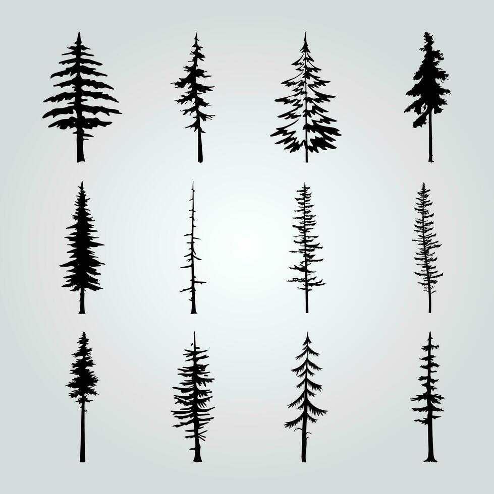 A collection of pine trees with different shapes and sizes. vector