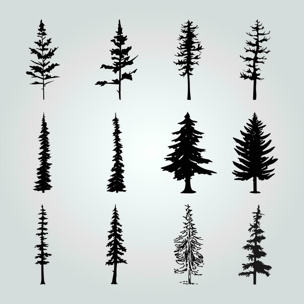 un colección de pino arboles con diferente formas y tamaños vector