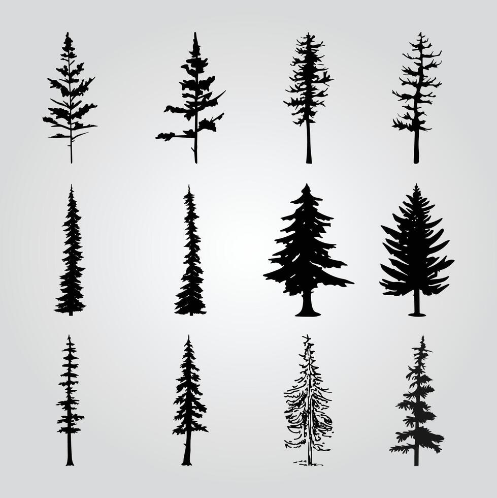 A collection of pine trees with different shapes and sizes. vector