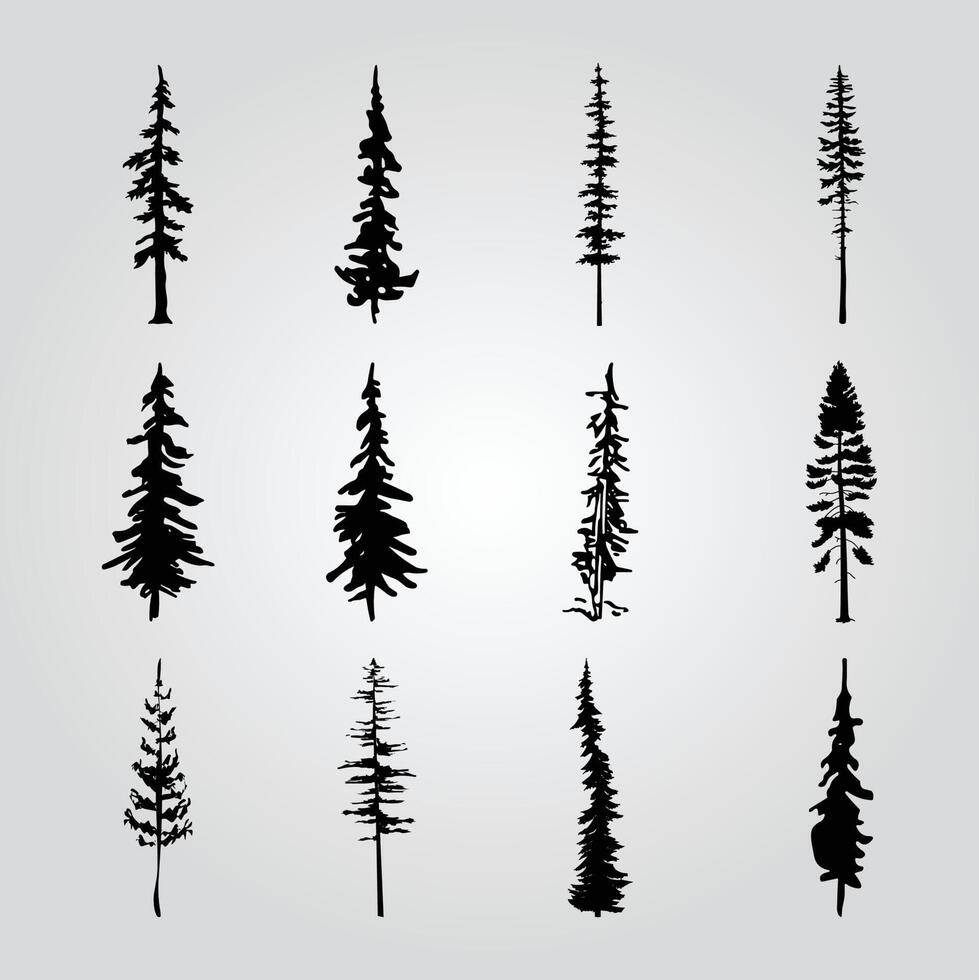 A collection of pine trees with different shapes and sizes. vector
