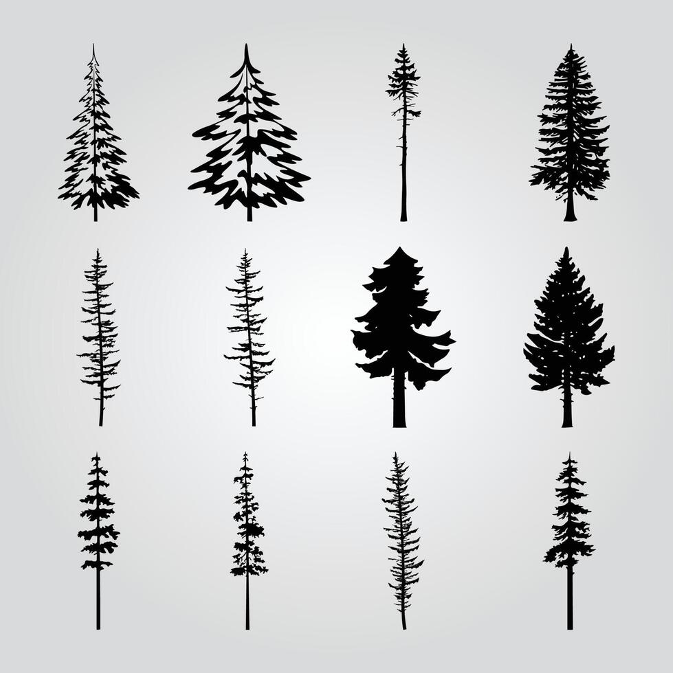 A collection of pine trees with different shapes and sizes. vector