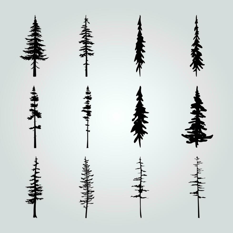 A collection of pine trees with different shapes and sizes. vector