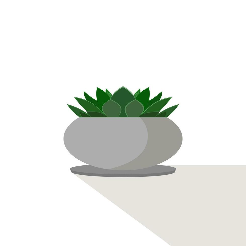 Molded wax agave that thrives in pots is a decorative garden concept plant. ornamental plant vector illustration.