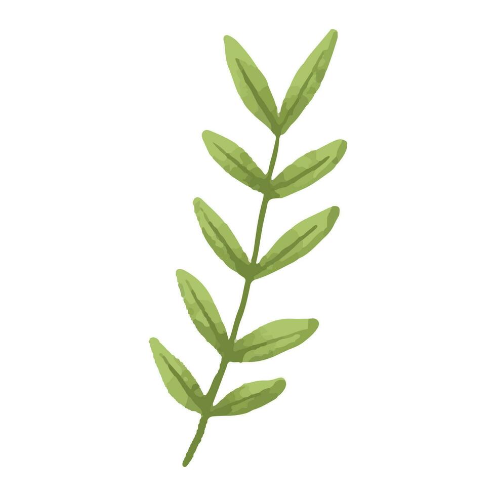 hand painted illustration with branch, leave. Herbal illustration vector