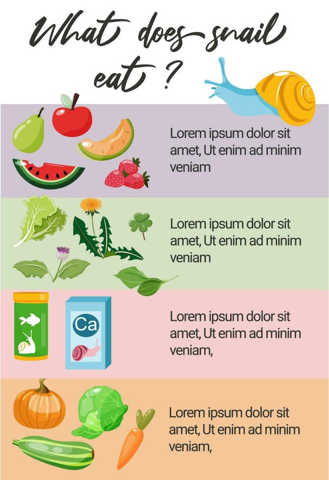 Guide what snail eats. Herbs, vegetables, fruits that snail can eat. Vector design for pet stores, snail care websites and  products.