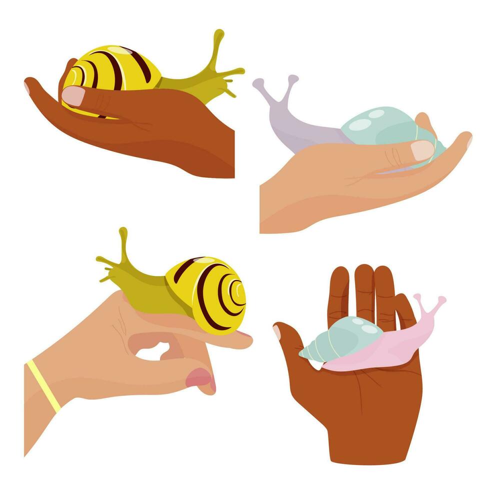 Set of human hands holding snails. Concept snail as a pet. vector