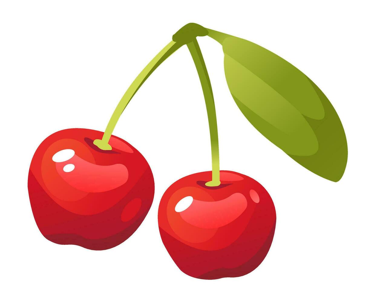 Cherry vector illustration isolated on a white background. Ripe berry with a twig.