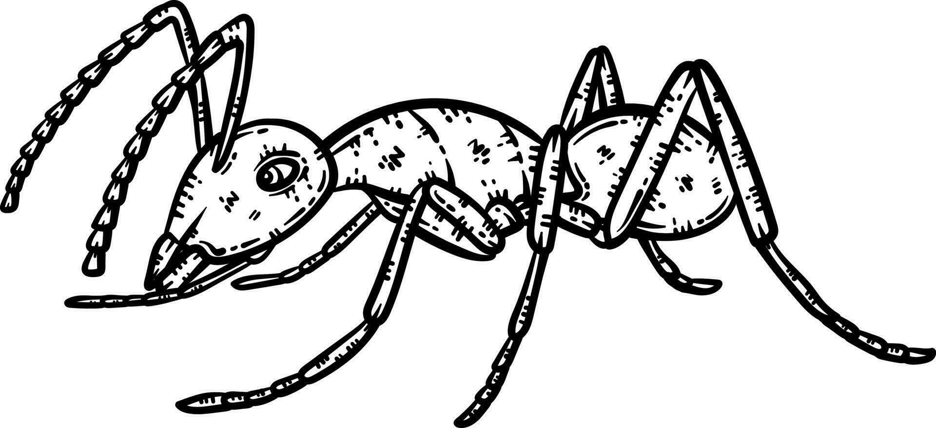 Ant Animal Coloring Page for Adults vector