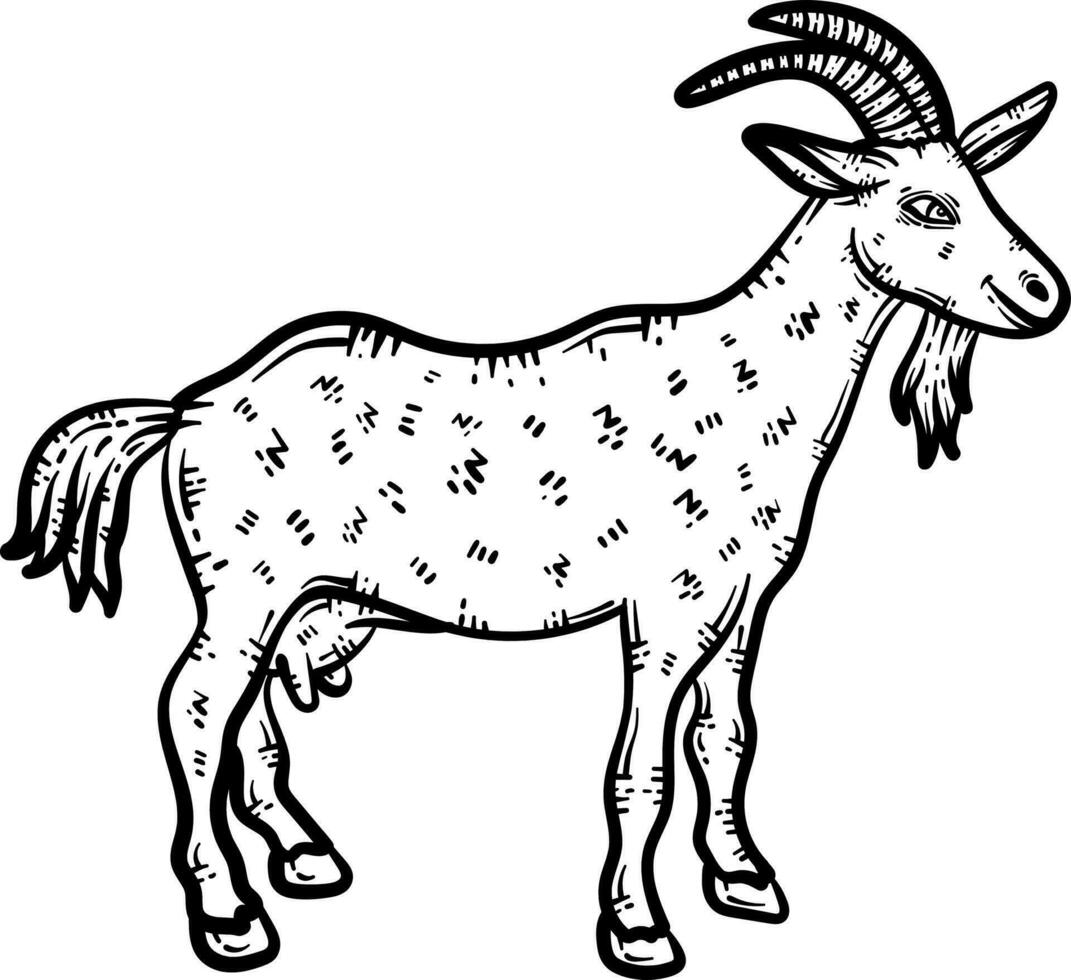 Goat Animal Coloring Page for Adults vector
