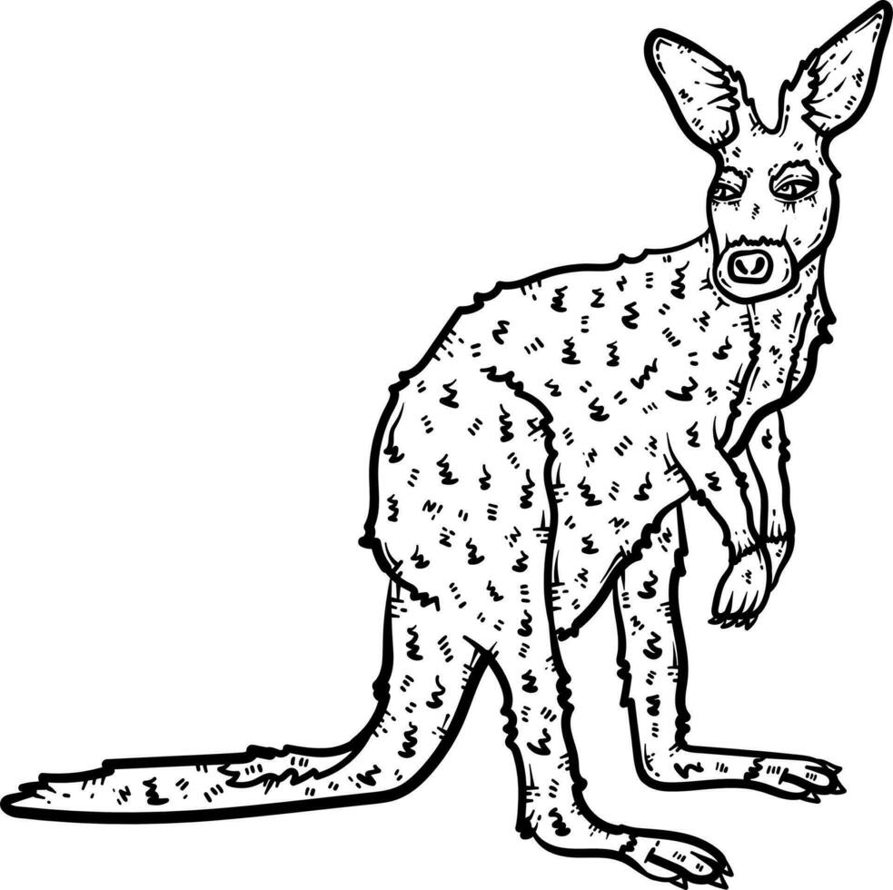 Kangaroo Animal Coloring Page for Adults vector