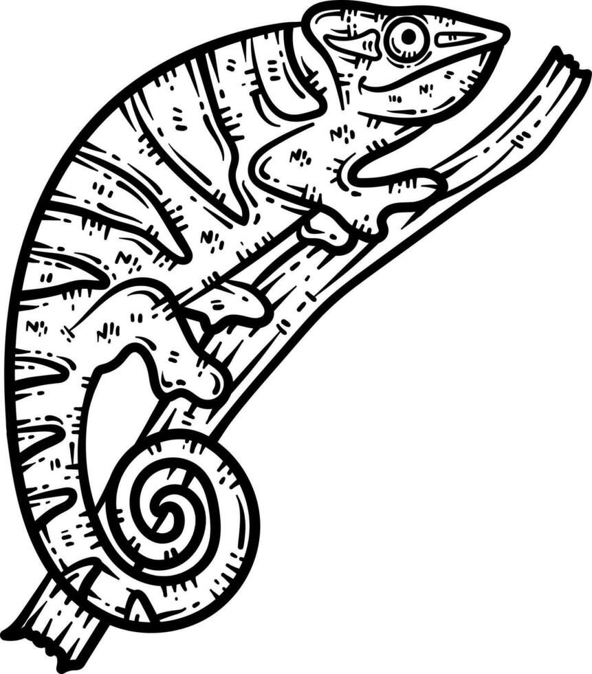 Chameleon Animal Coloring Page for Adults vector