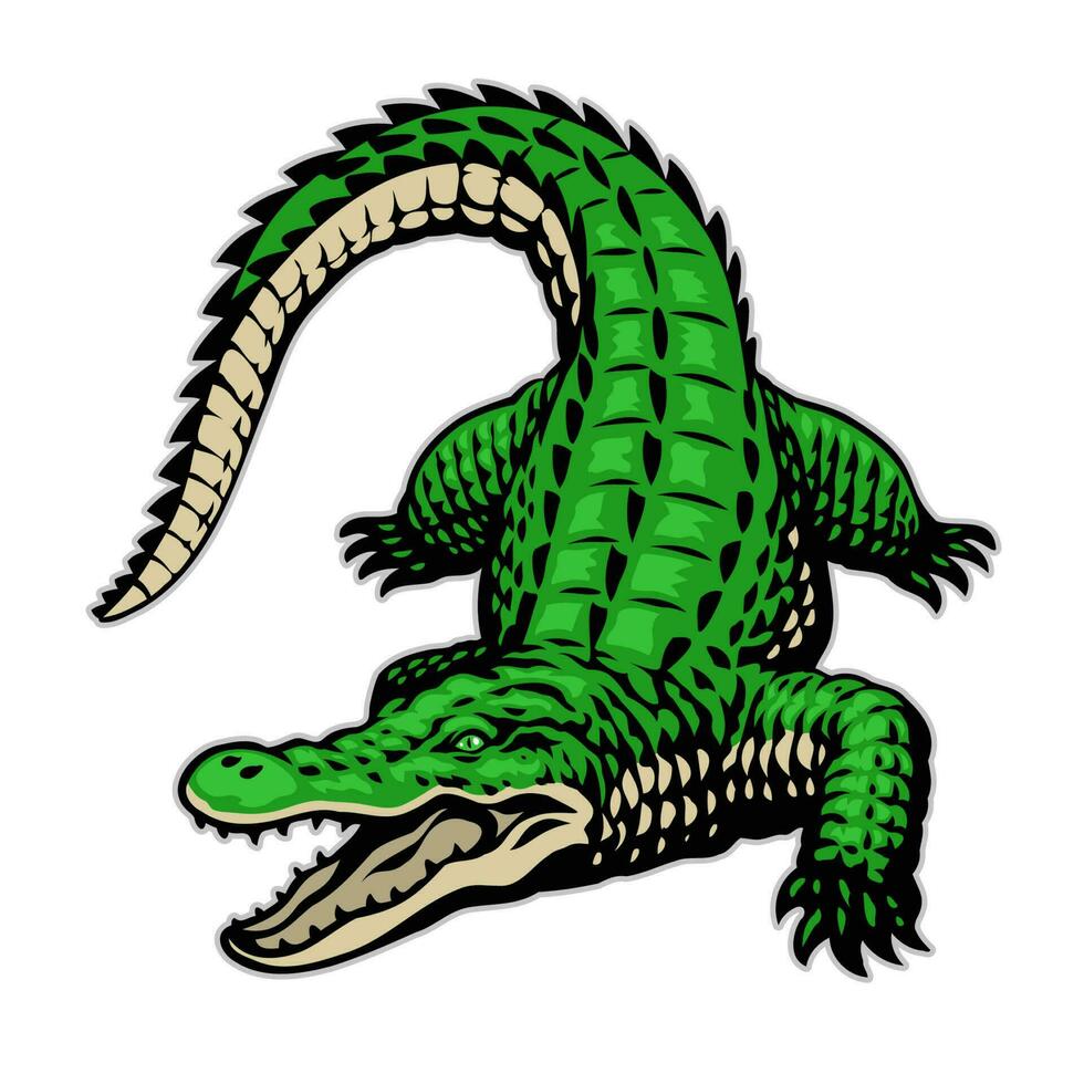 Hand drawn of Crocodile angry vector