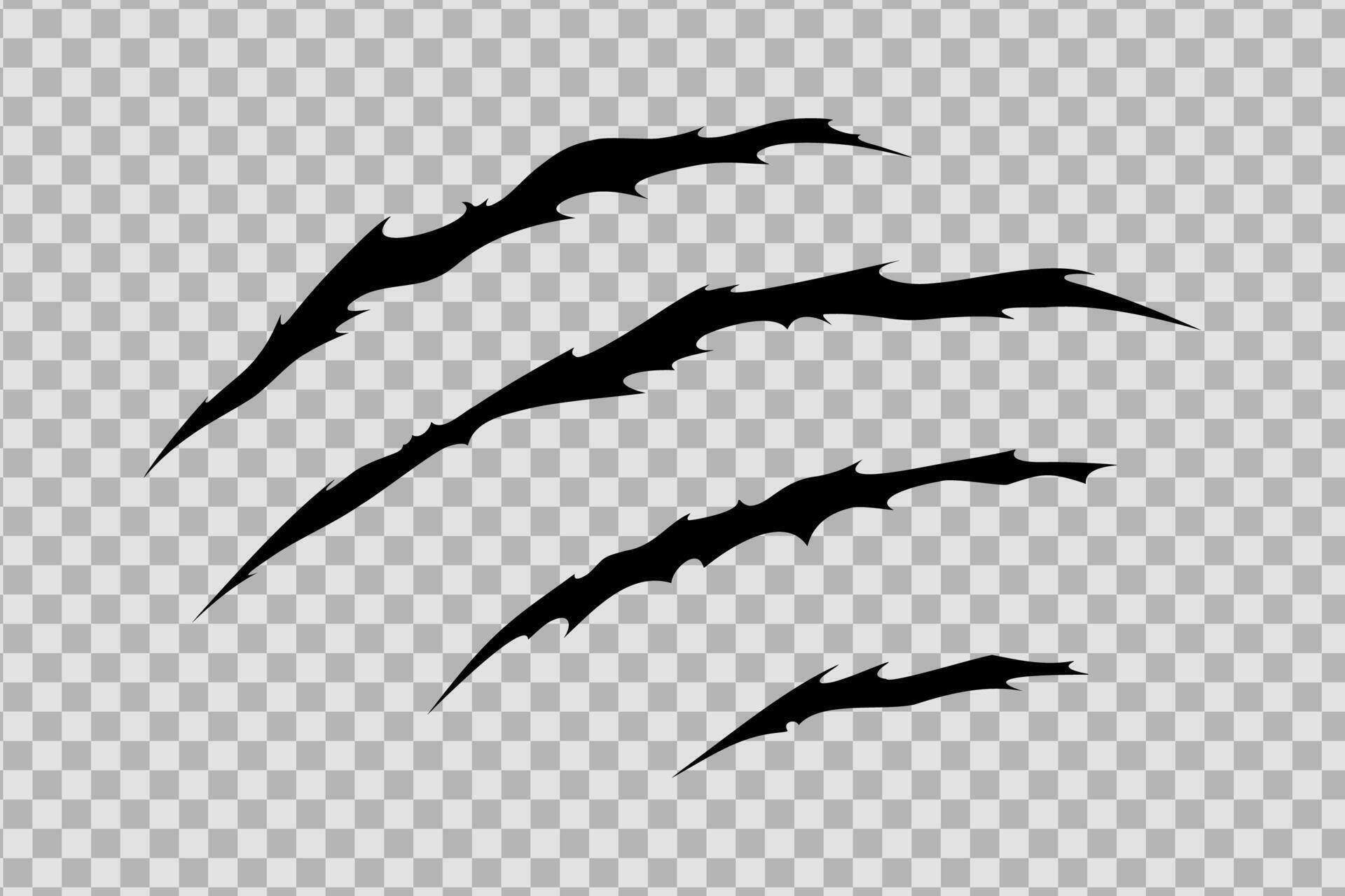 Claw scratches of wild animal. Cat scratches marks isolated. Vector