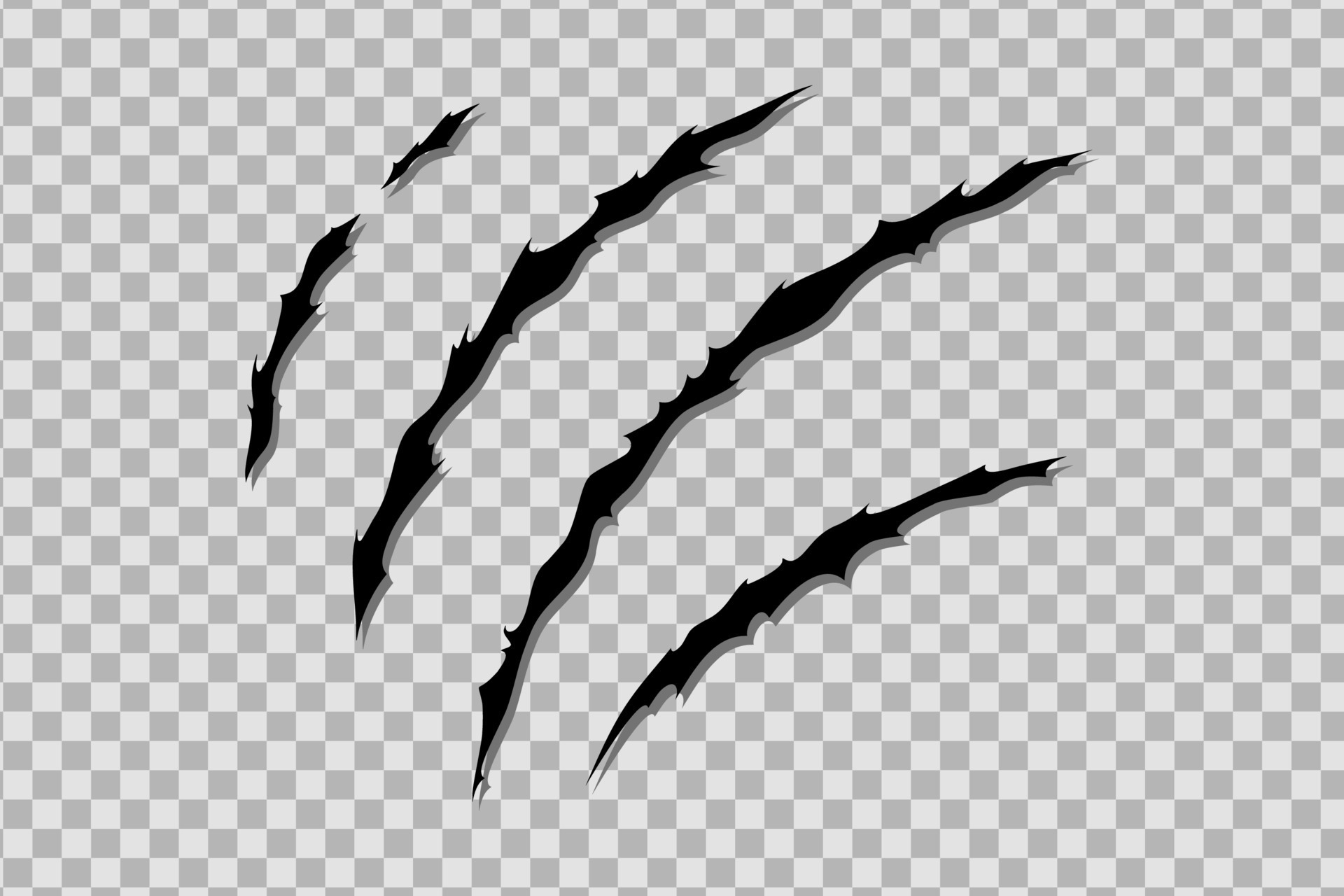 Claw scratches of wild animal. Cat scratches marks isolated. Vector