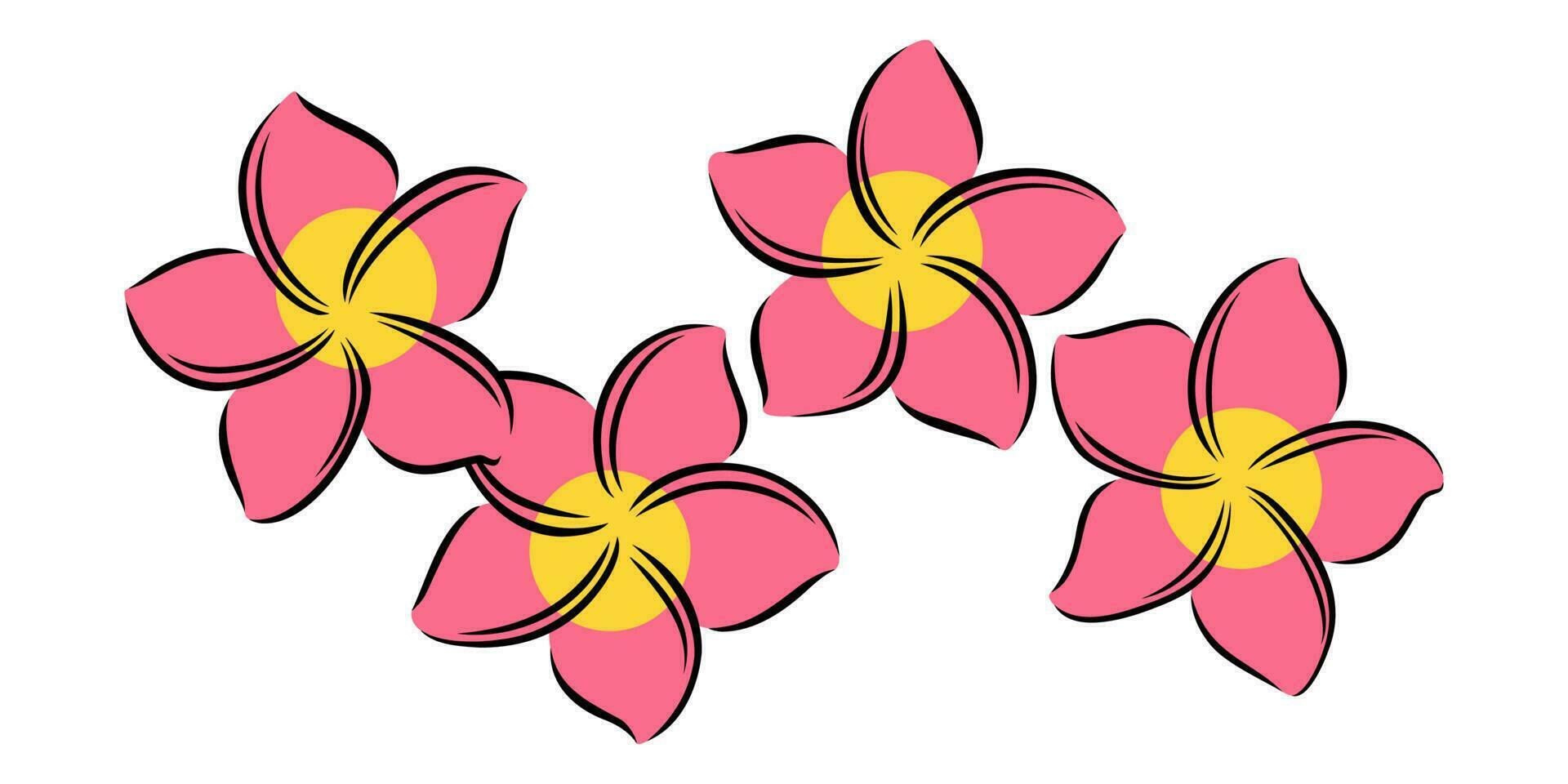Frangipani or plumeria exotic summer flower. Engraved frangipani isolated in white background. Vector illustration