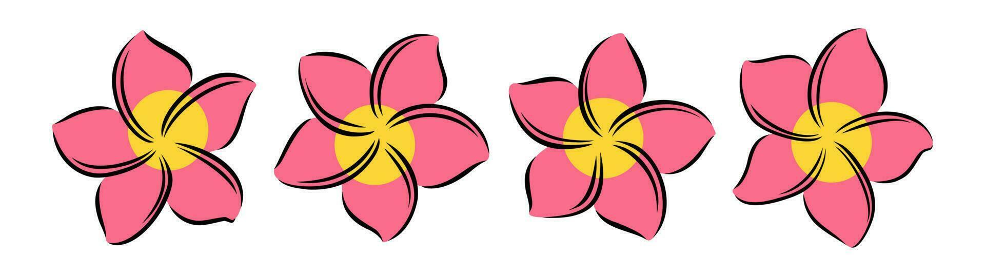 Frangipani or plumeria exotic summer flower. Engraved frangipani isolated in white background. Vector illustration