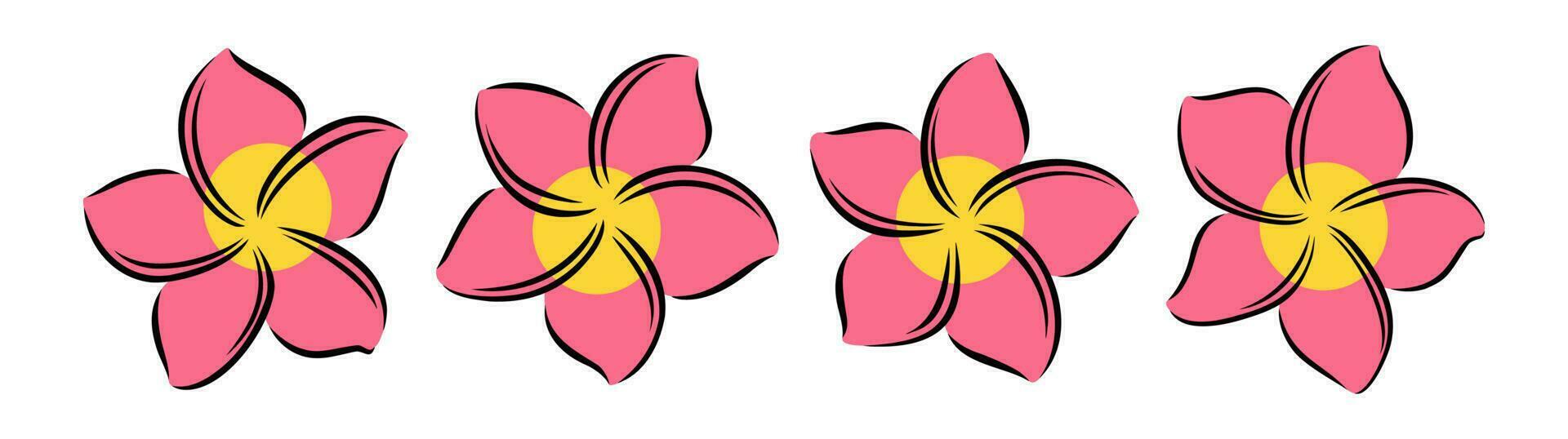 frangipani o plumeria exótico verano flor. grabado frangipani aislado en blanco antecedentes. vector ilustración