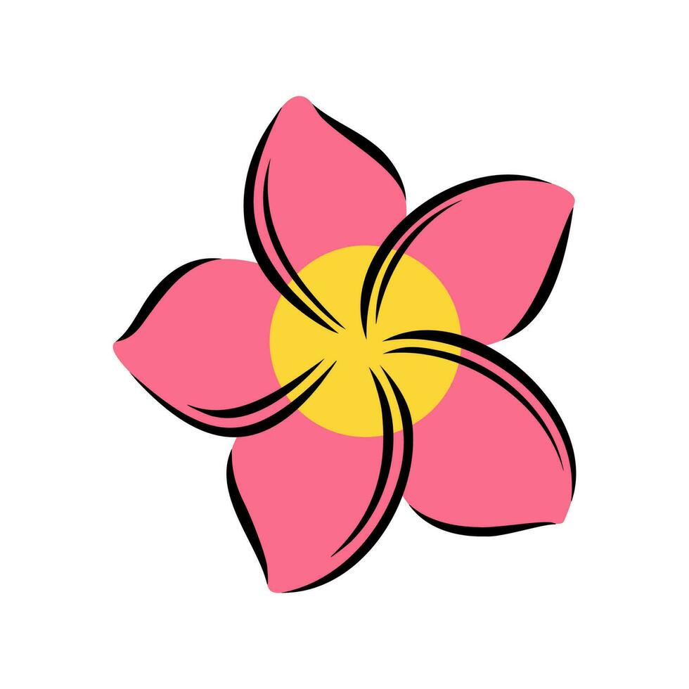 Frangipani or plumeria exotic summer flower. Engraved frangipani isolated in white background. Vector illustration