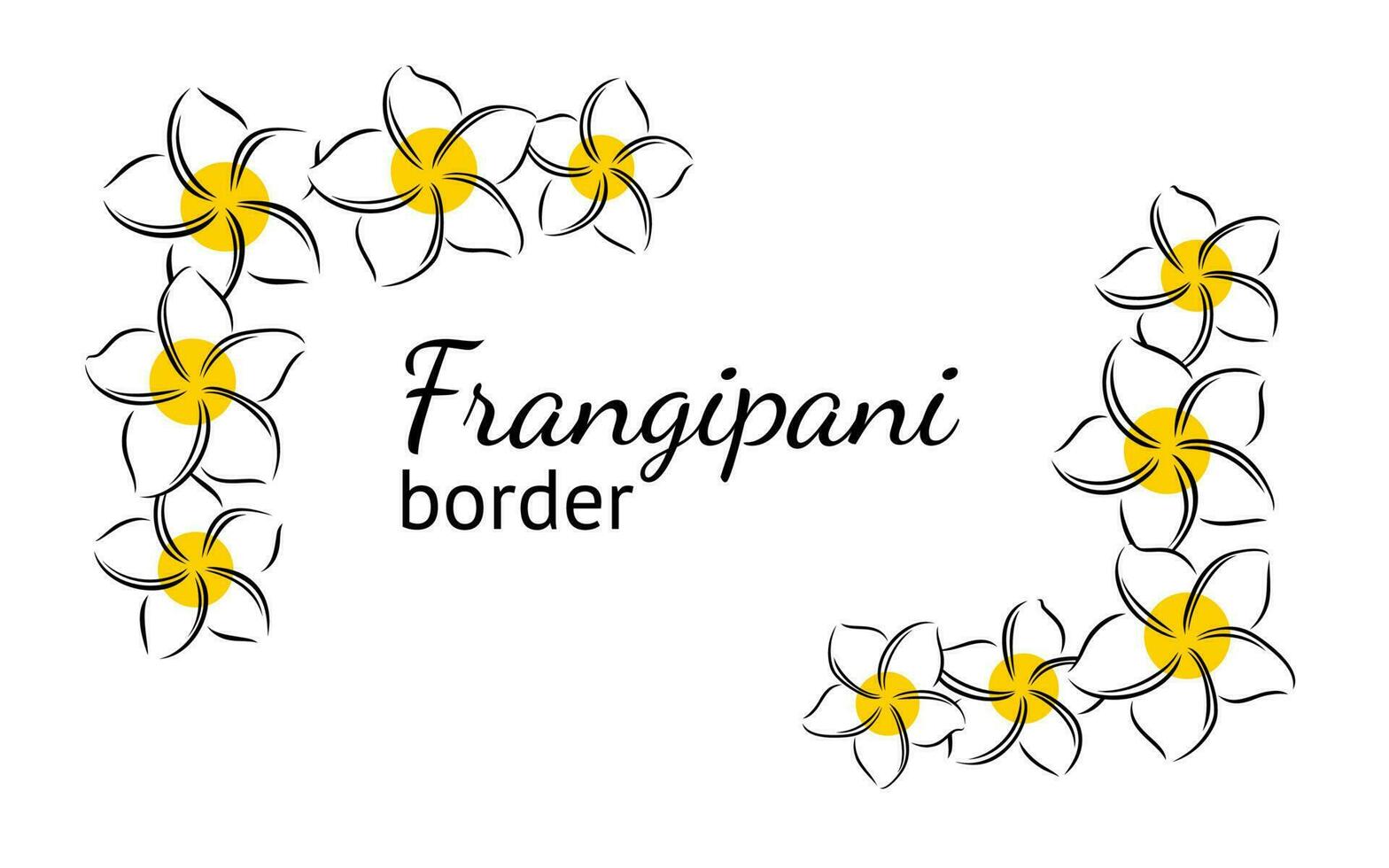 Frangipani or plumeria exotic summer flower. Engraved frangipani isolated in white background. Vector illustration