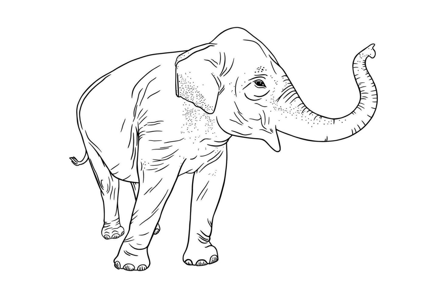 Elephant profile isolated on white background. Realistic Asian elephant