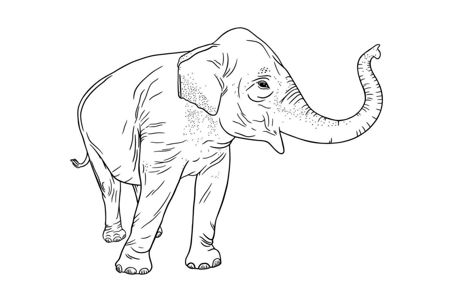 elefante perfil aislado en blanco antecedentes. realista asiático elefante con volteado trompa. vector ilustración