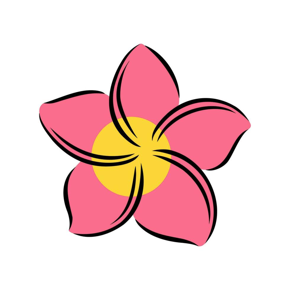 Frangipani or plumeria exotic summer flower. Engraved frangipani isolated in white background. Vector illustration