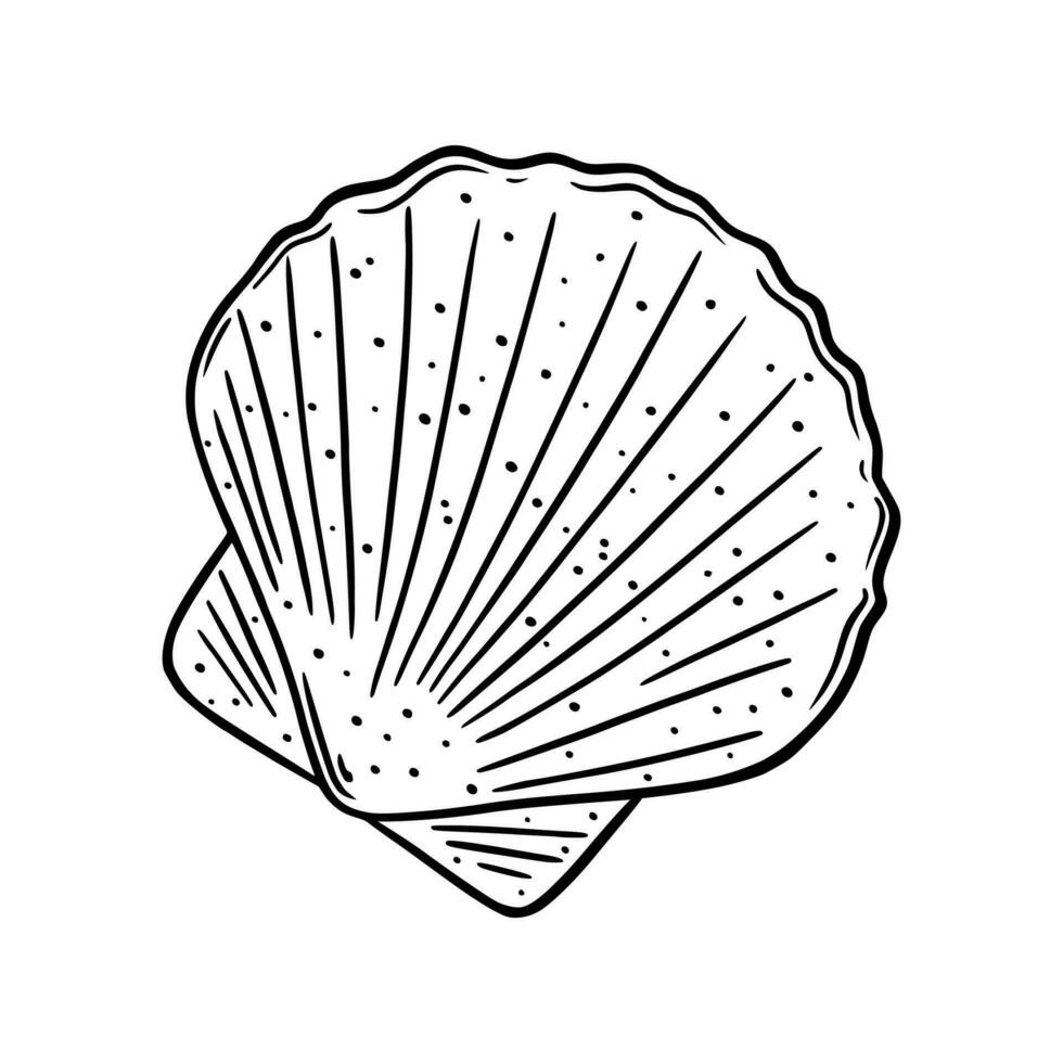 Scallop shell logo. Mediterranean seashell sketch. Vector illustration