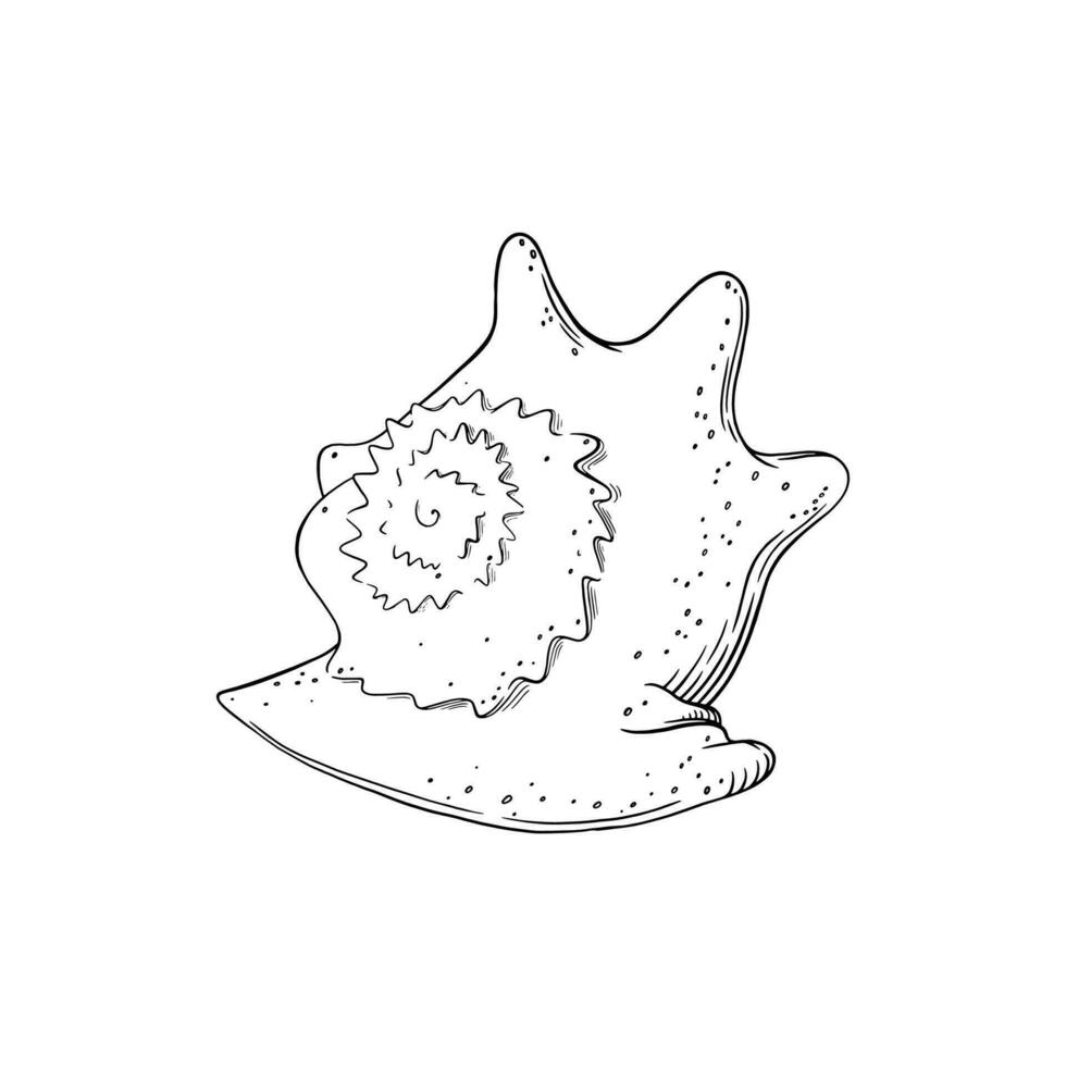 Spiral seashell isolated in white background. Marine shell sketch. Vector illustration