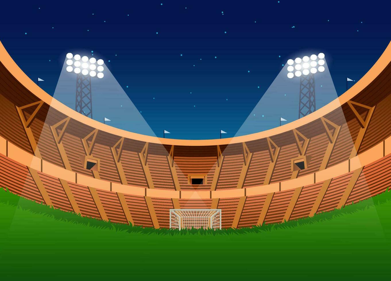 Soccer Stadium frog eye at night vector