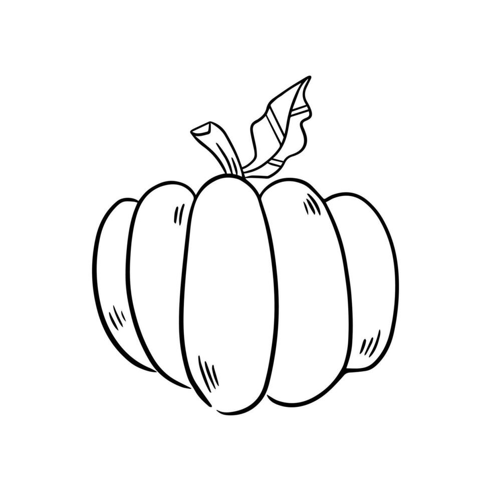 Leopard pumpkin icon vector. Halloween illustration sign. Garden symbol or logo. vector
