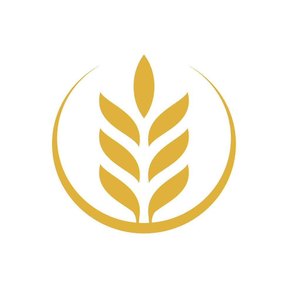 Wheat vector logo