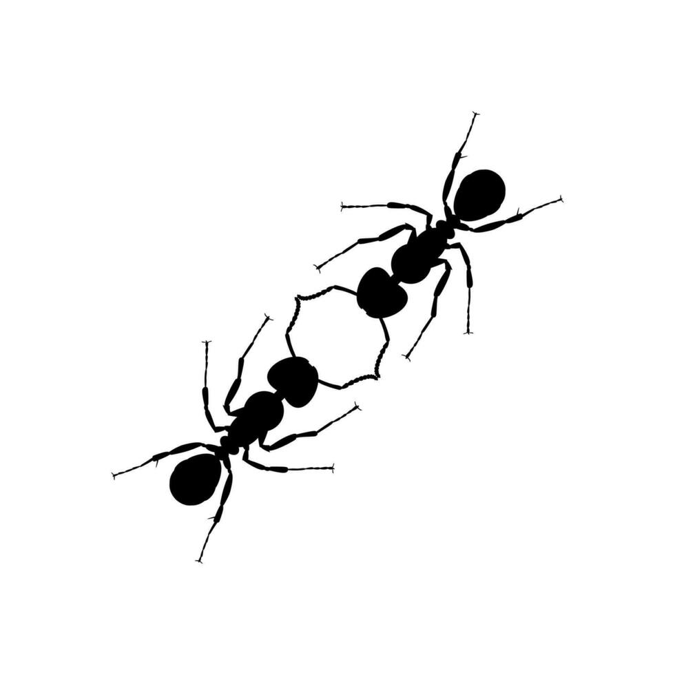 Pair of the Ant Silhouette for Art Illustration, Logo, Pictogram, Website, or Graphic Design Element. Vector Illustration
