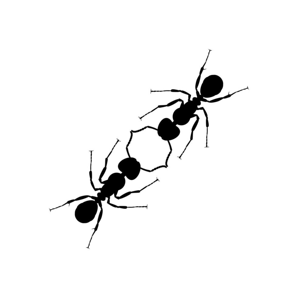 Pair of the Ant Silhouette for Art Illustration, Logo, Pictogram, Website, or Graphic Design Element. Vector Illustration