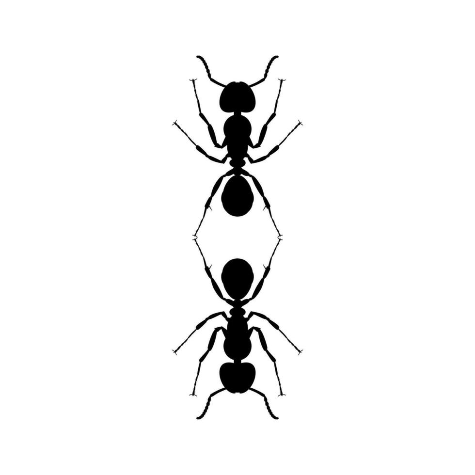 Pair of the Ant Silhouette for Art Illustration, Logo, Pictogram, Website, or Graphic Design Element. Vector Illustration